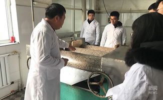 返鄉(xiāng)創(chuàng)業(yè)、貢獻(xiàn)家鄉(xiāng) 小食品生產(chǎn)線塑造社會(huì)責(zé)任感的實(shí)踐與思考