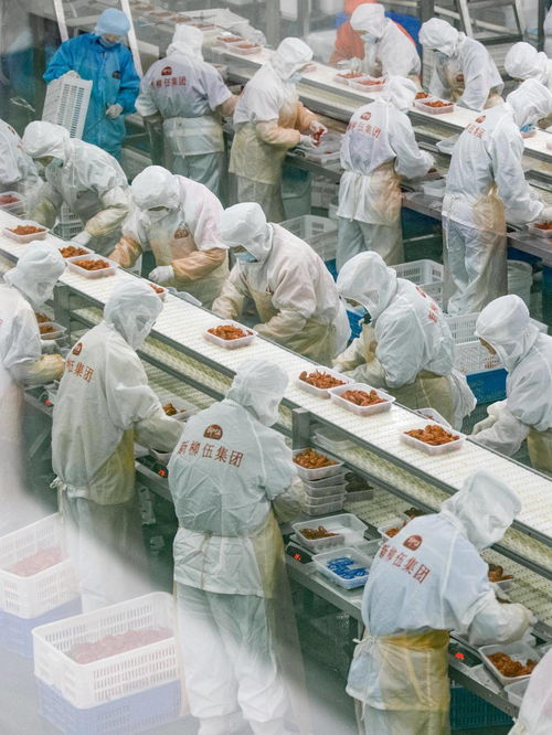 深讀丨解答 196 的安全難題 食品包裝機(jī)械的挑戰(zhàn)與應(yīng)對(duì)